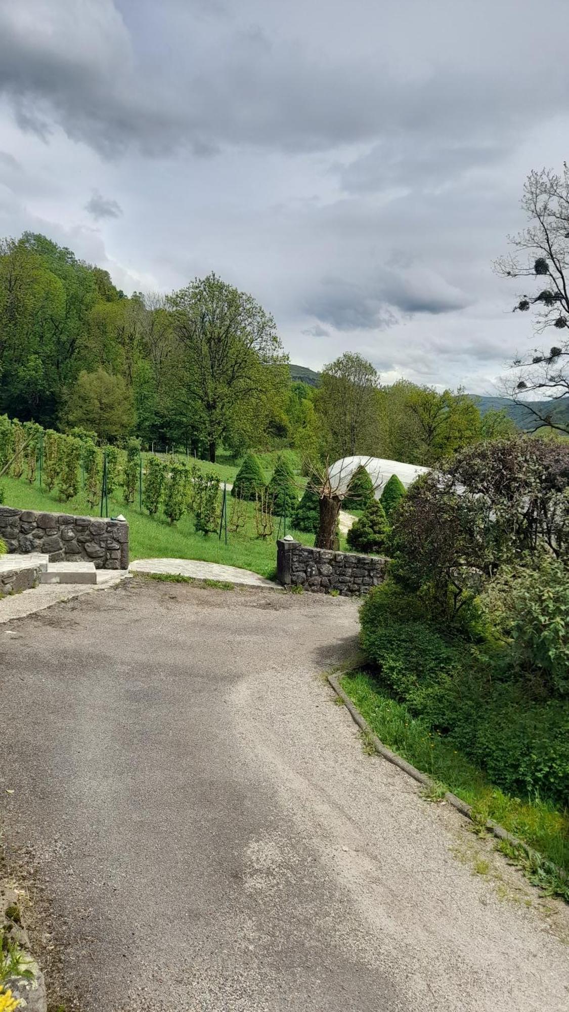 Chambre D'Hote Dans Le Cantal Vallee De La Maronne Saint-Martin-Valmeroux Экстерьер фото
